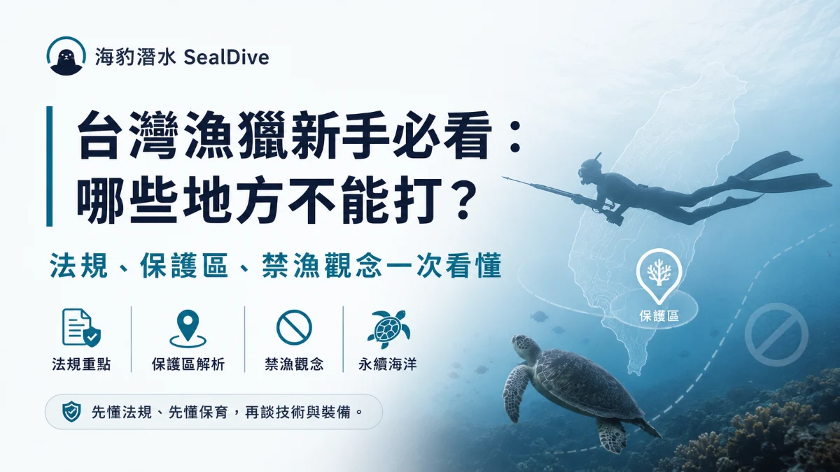 海豹潛水 SealDive｜台灣漁獵新手必看：哪些地方不能打？法規、保護區、禁漁觀念一次看懂
