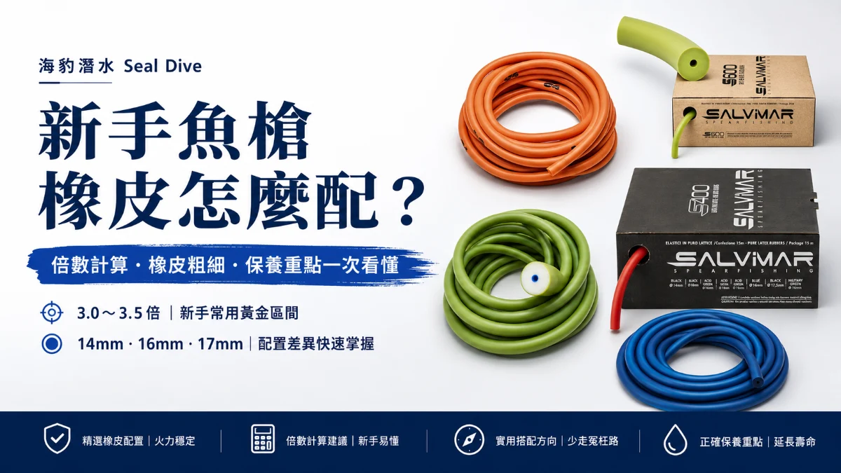 新手必看的魚槍橡皮配置與倍數保養全攻略