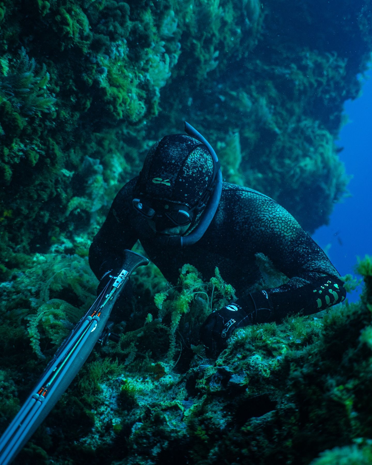 獵物在深處，裝備決勝負