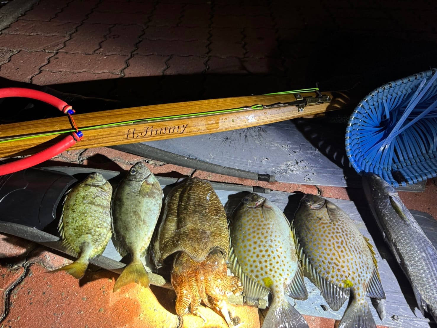 【海豹嚴選】H.Jimmy Champion V2 聯名 義大利 ERMES 木槍 魚槍 第 15 張｜海豹潛水 SealDIVE