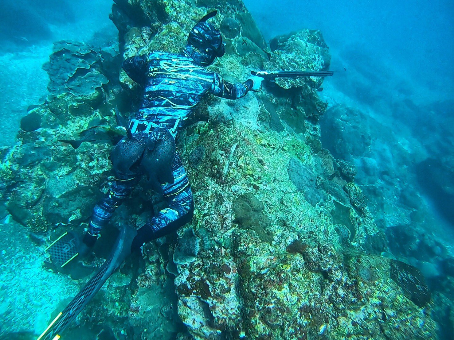 法國 EPSEALON 亞洲限定版黑暗融合套裝 3mm/5mm Yamamoto 日本頂級布料 第 7 張｜海豹潛水 SealDIVE