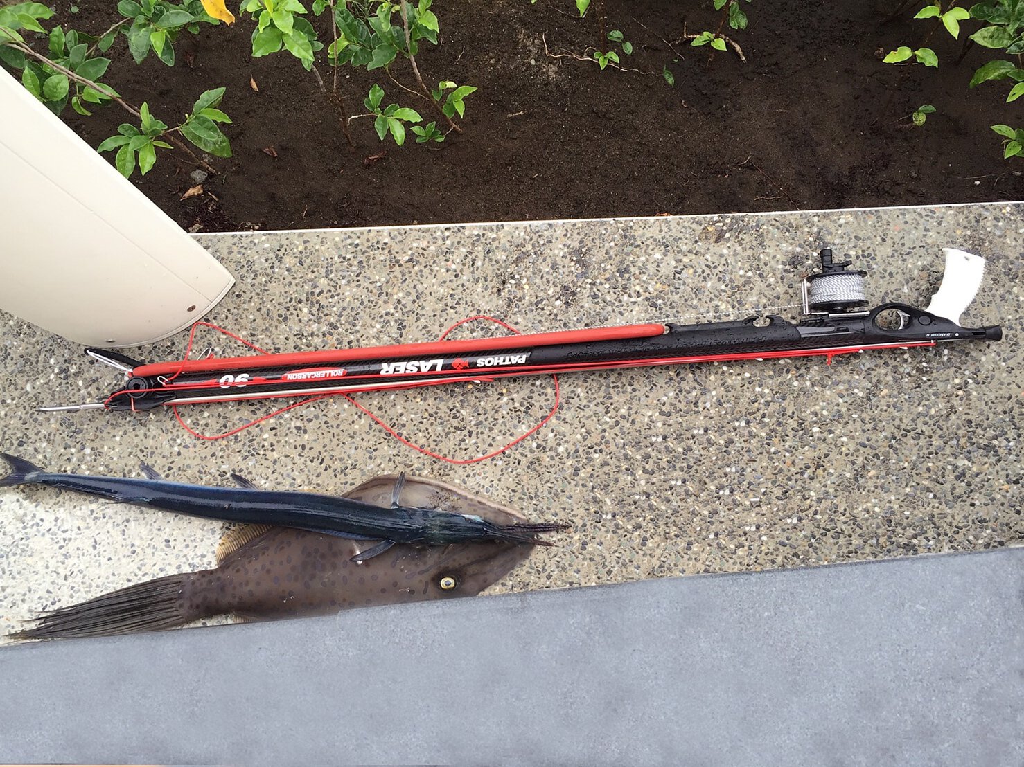 2026 全新升級新版側線勾 PATHOS Laser Carbone  Roller 碳纖維滾輪式魚槍 PATHOS魚槍 第 3 張｜海豹潛水 SealDIVE