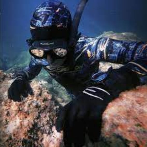 法國 Epsealon 三色魚串 第 5 張｜海豹潛水 SealDIVE