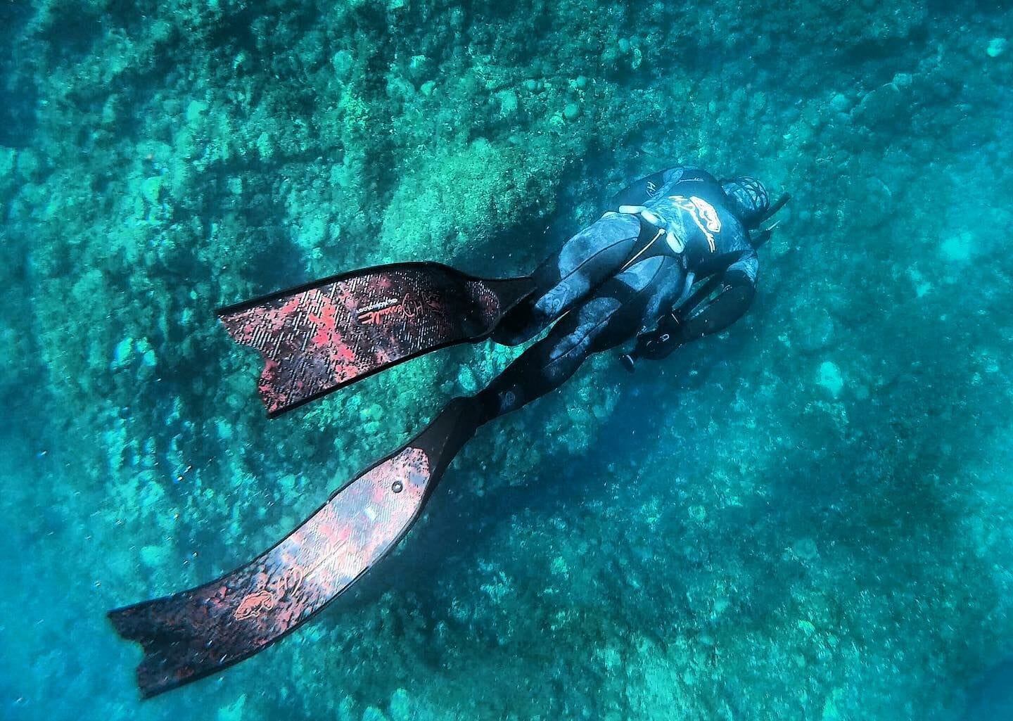 義大利 C4 H.Dessault Carbon 碳纖維綠彩魂 (僅一雙) 第 2 張｜海豹潛水 SealDIVE