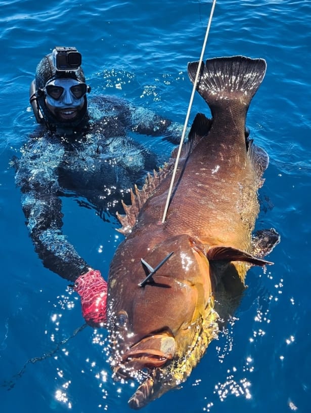 義大利 C4 WETSUIT CAMOSKIN MED 3MM 5MM 迷彩金 迷彩藍 防寒衣 第 5 張｜海豹潛水 SealDIVE