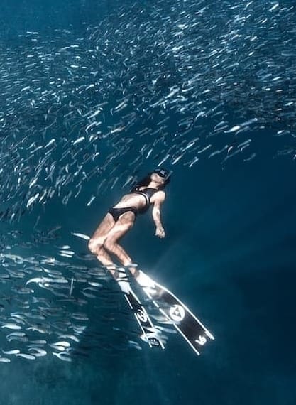 週年慶優惠 Alchemy V3 碳纖維蛙鞋 自潛神器 第 8 張｜海豹潛水 SealDIVE