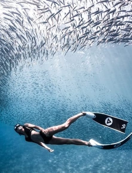 週年慶優惠 Alchemy V3 碳纖維蛙鞋 自潛神器 第 9 張｜海豹潛水 SealDIVE