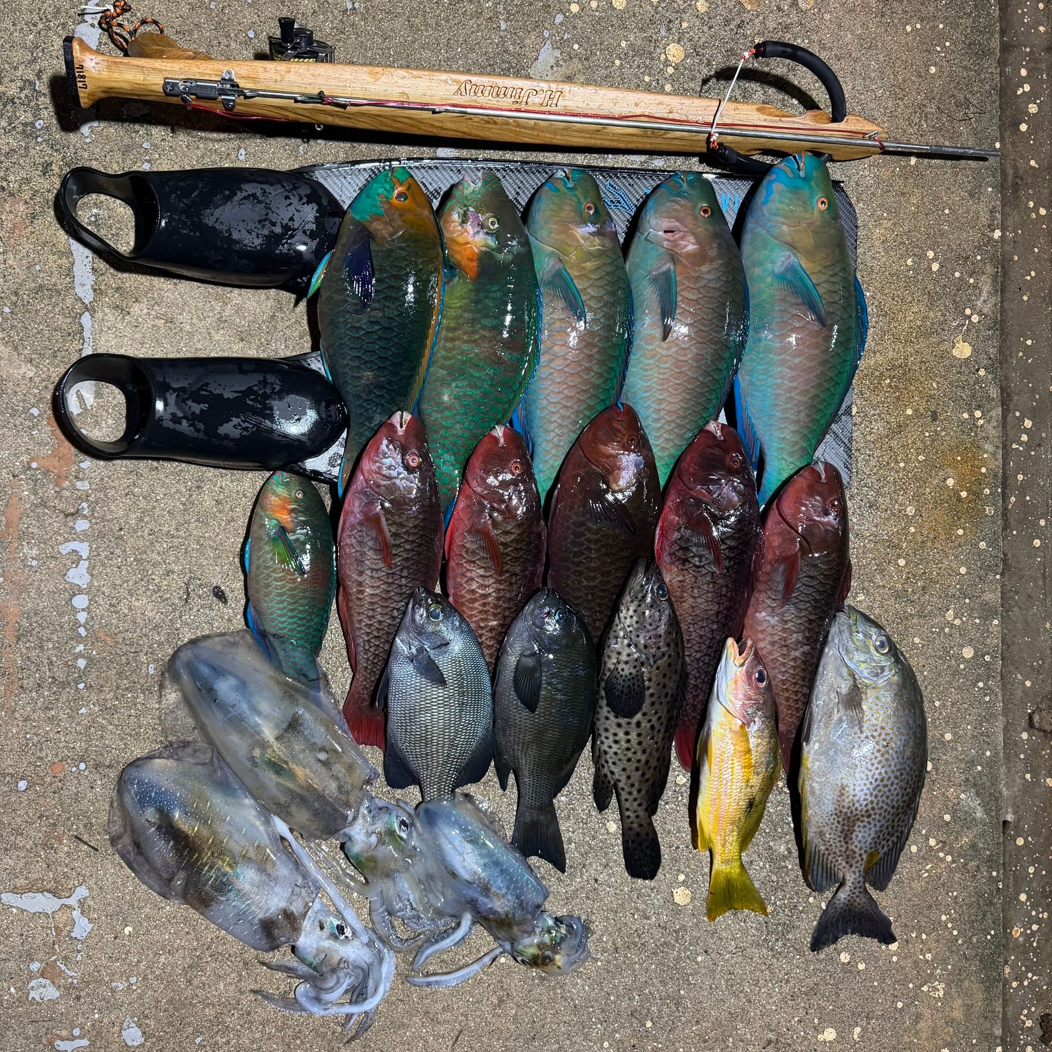 【海豹嚴選】H.Jimmy Champion V2 聯名 義大利 ERMES 木槍 魚槍 第 13 張｜海豹潛水 SealDIVE