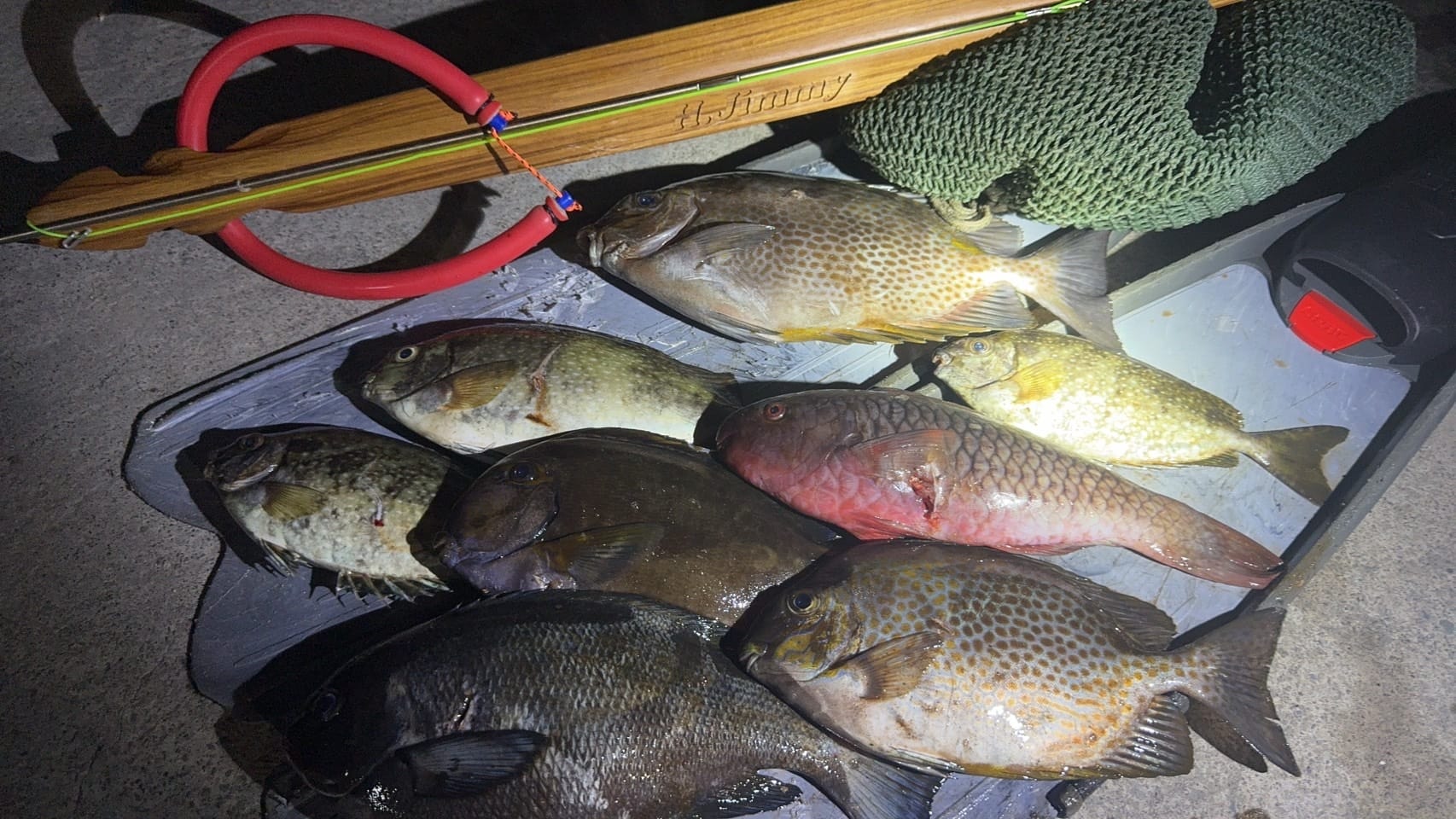 【海豹嚴選】H.Jimmy Champion V2 聯名 義大利 ERMES 木槍 魚槍 第 18 張｜海豹潛水 SealDIVE