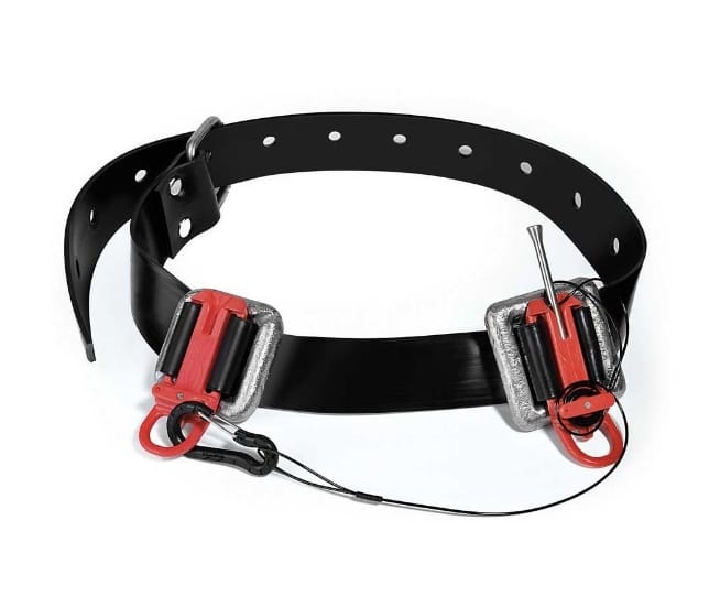 義大利 C4 魚串 Fish stringer 魚簍 第 2 張｜海豹潛水 SealDIVE