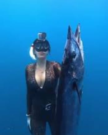 法國 Epsealon 三色魚串 第 6 張｜海豹潛水 SealDIVE