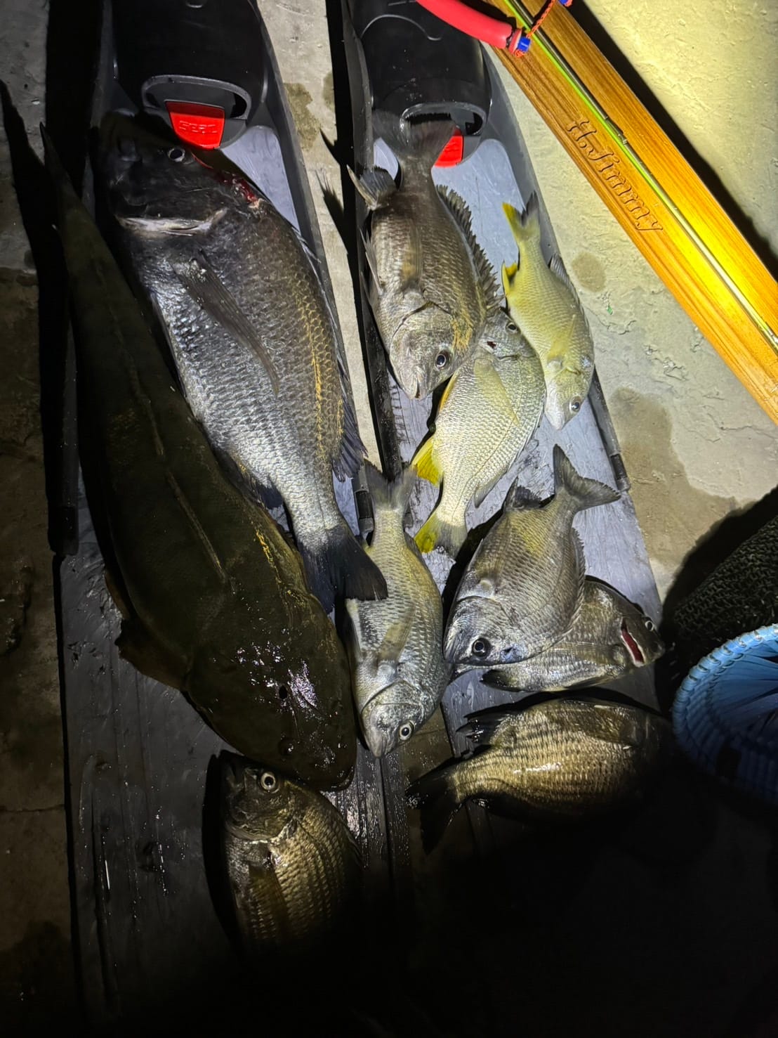 【海豹嚴選】H.Jimmy Champion V2 聯名 義大利 ERMES 木槍 魚槍 第 14 張｜海豹潛水 SealDIVE