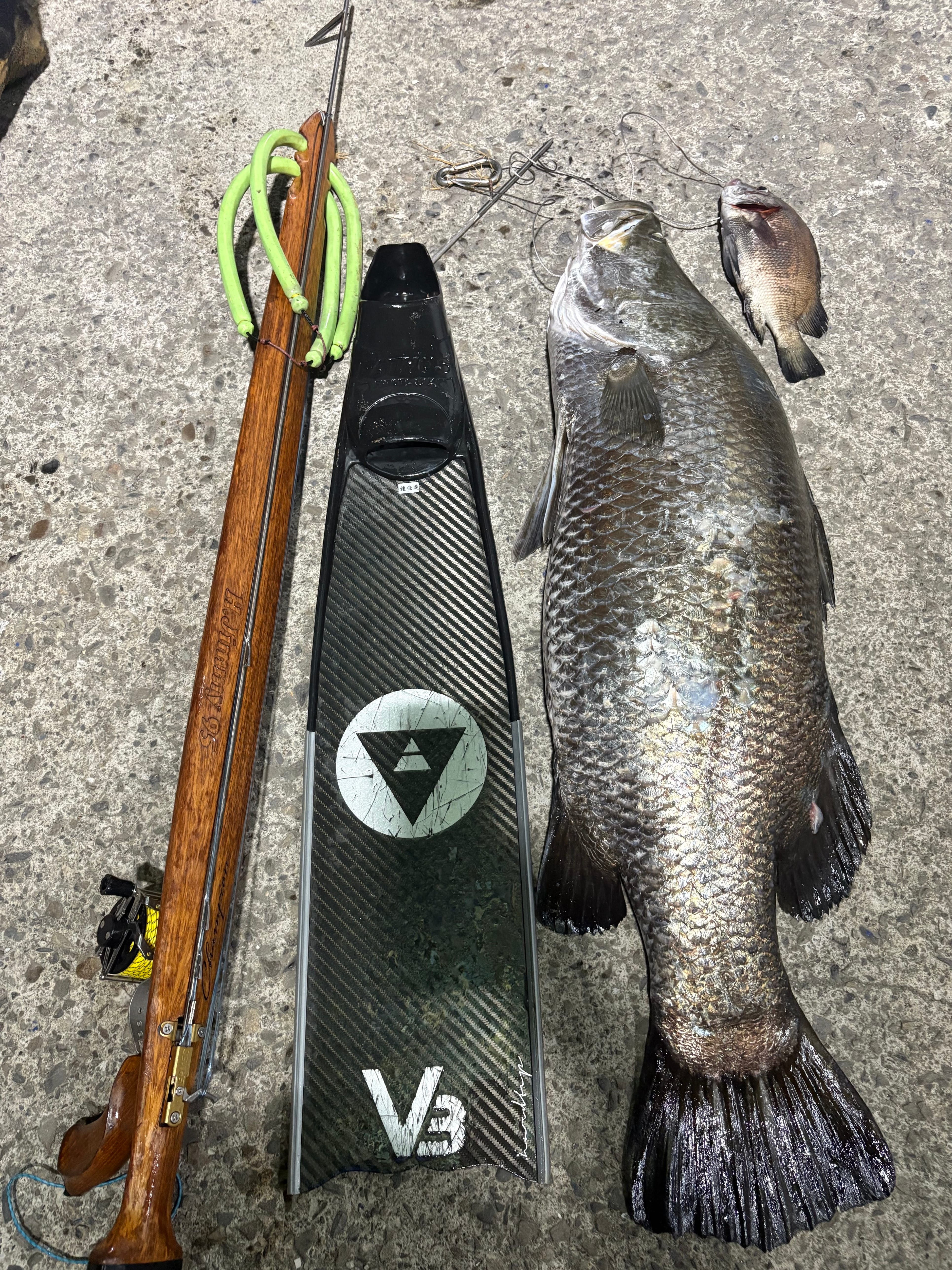 【海豹嚴選】H.Jimmy Champion V2 聯名 義大利 ERMES 木槍 魚槍 第 19 張｜海豹潛水 SealDIVE