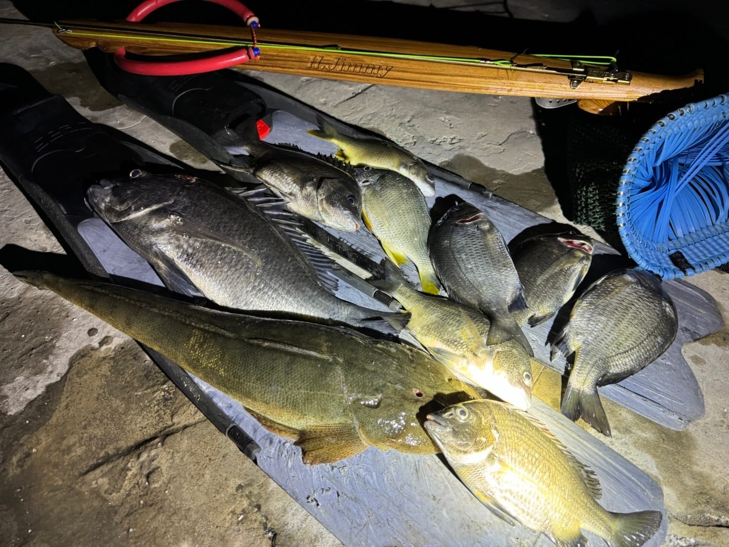 【海豹嚴選】H.Jimmy Champion V2 聯名 義大利 ERMES 木槍 魚槍 第 16 張｜海豹潛水 SealDIVE