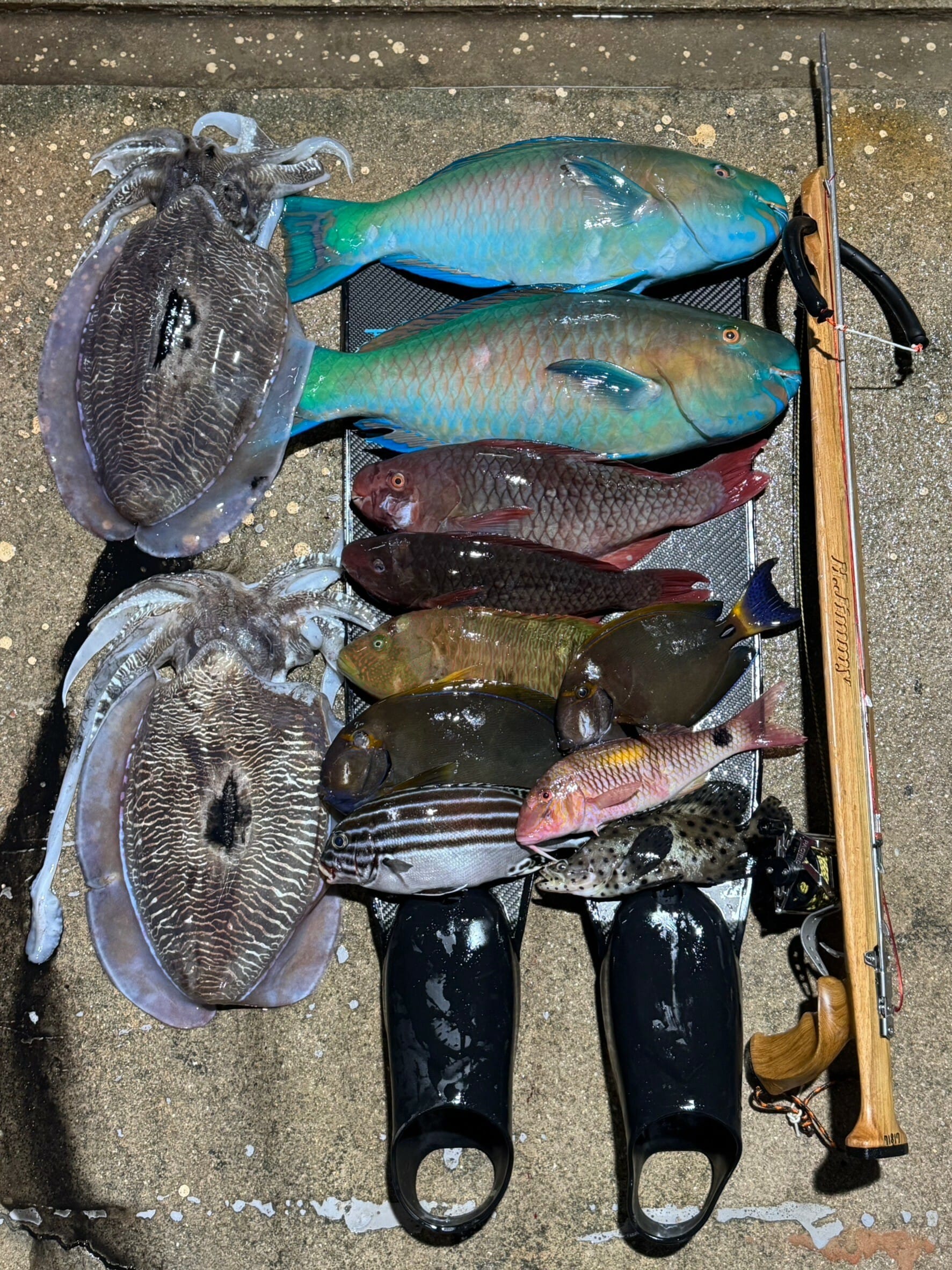 【海豹嚴選】H.Jimmy Champion V2 聯名 義大利 ERMES 木槍 魚槍 第 12 張｜海豹潛水 SealDIVE