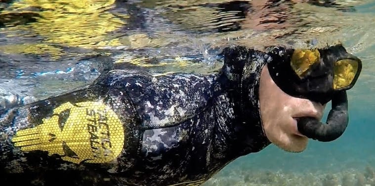 法國 Epsealon 三色魚串 第 7 張｜海豹潛水 SealDIVE