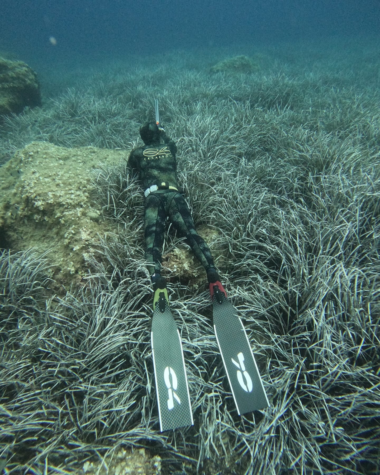 義大利 C4 WETSUIT CAMOSKIN MED 3MM 5MM 迷彩金 迷彩藍 防寒衣 第 14 張｜海豹潛水 SealDIVE