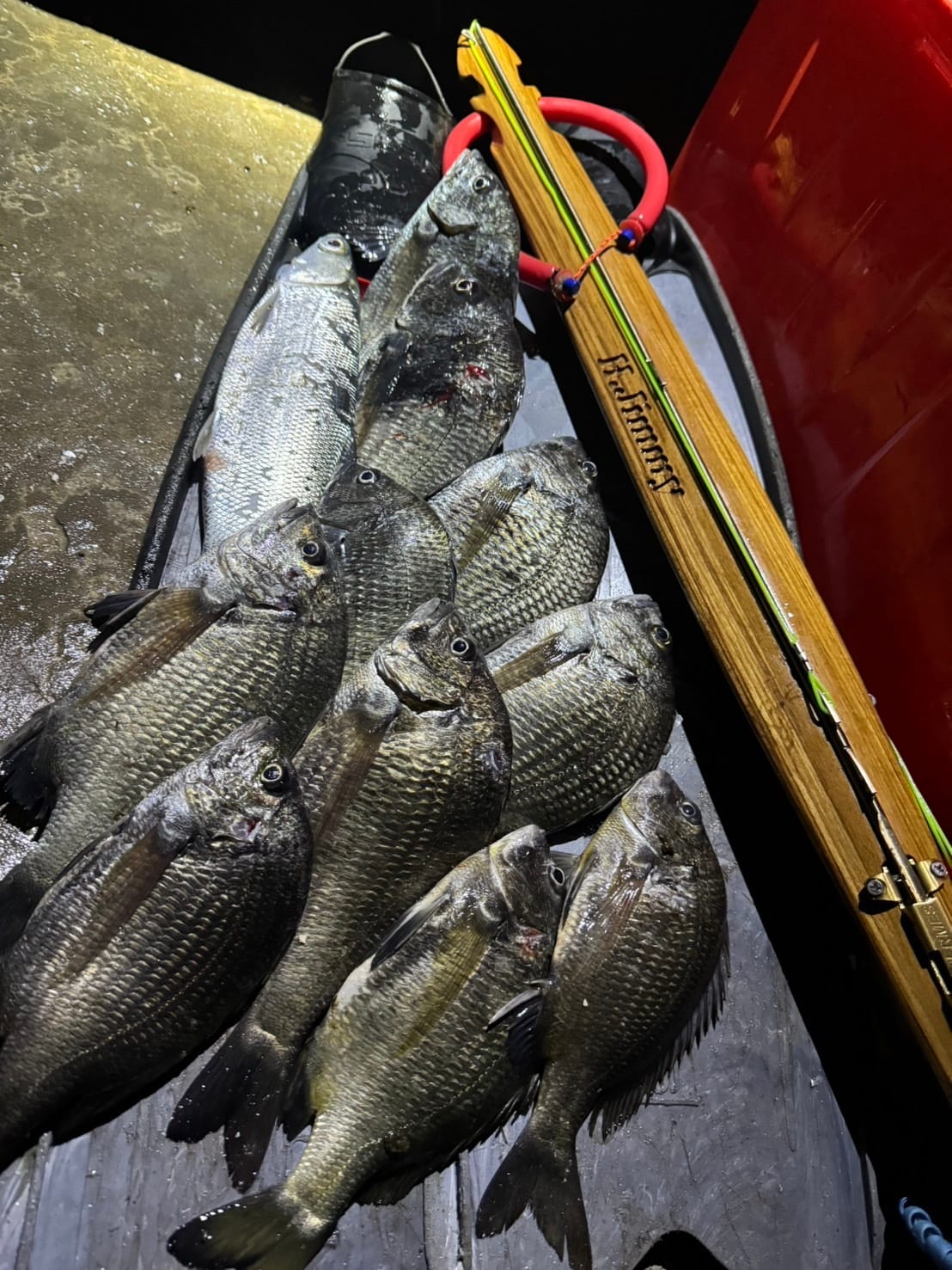 【海豹嚴選】H.Jimmy Champion V2 聯名 義大利 ERMES 木槍 魚槍 第 17 張｜海豹潛水 SealDIVE